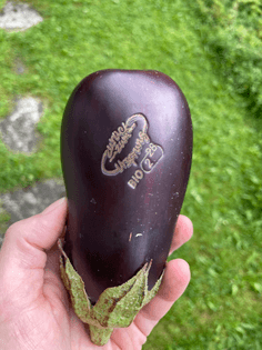 Eggplant has a laser marking instead of a physical sticker to show it's organic
