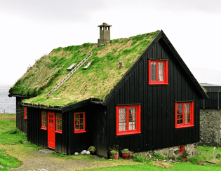 Foliage covered green roof in Kirkjubøur, a photo from Faroe Islands. 