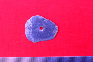 10.2307_al.ch.document.bieaaks09811-1.jpg