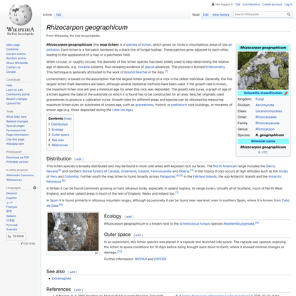 Rhizocarpon geographicum - Wikipedia