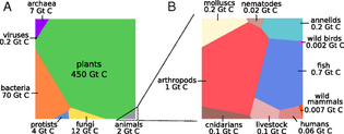 The biomass distribution on Earth