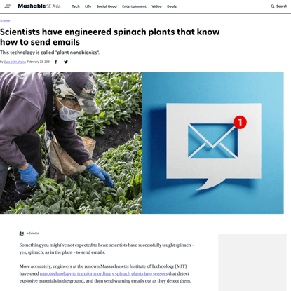 Scientists have engineered spinach plants that know how to send emails