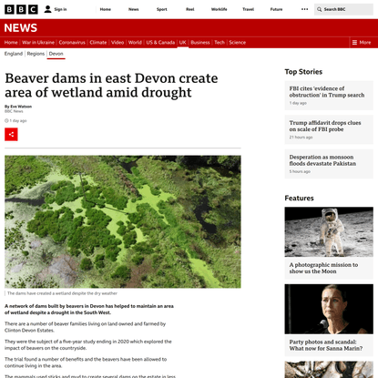 Beaver dams in east Devon create area of wetland amid drought