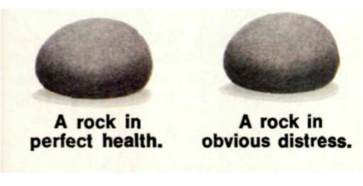 fatr3_8wiaexkru?format=jpg-name=medium