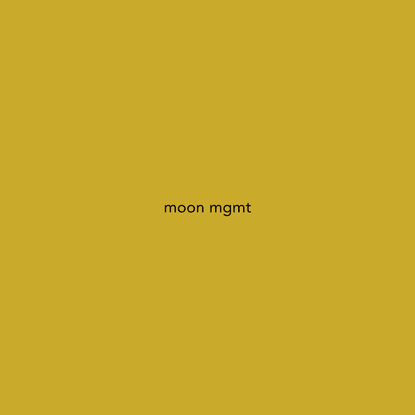 moon mgmt - independent agency representing emerging artists in Copenhagen, London and Paris.