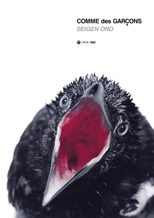 05_-_b.webp