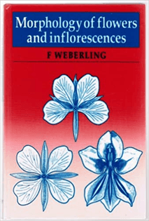 Morphology of Flowers and Inflorescences
