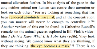 Bummer theory of animalistic gaze from John Berger and Catherine Russel as cited in Jonathan Burt''s Animals in Films