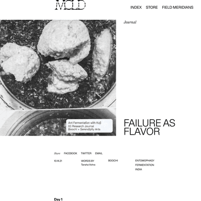 Failure as Flavor - MOLD :: Designing the Future of Food