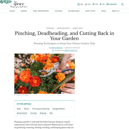 Pinching, Deadheading, and Cutting Back in Your Garden