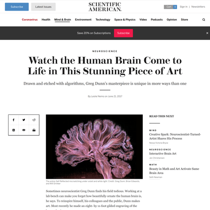 Watch the Human Brain Come to Life in This Stunning Piece of Art