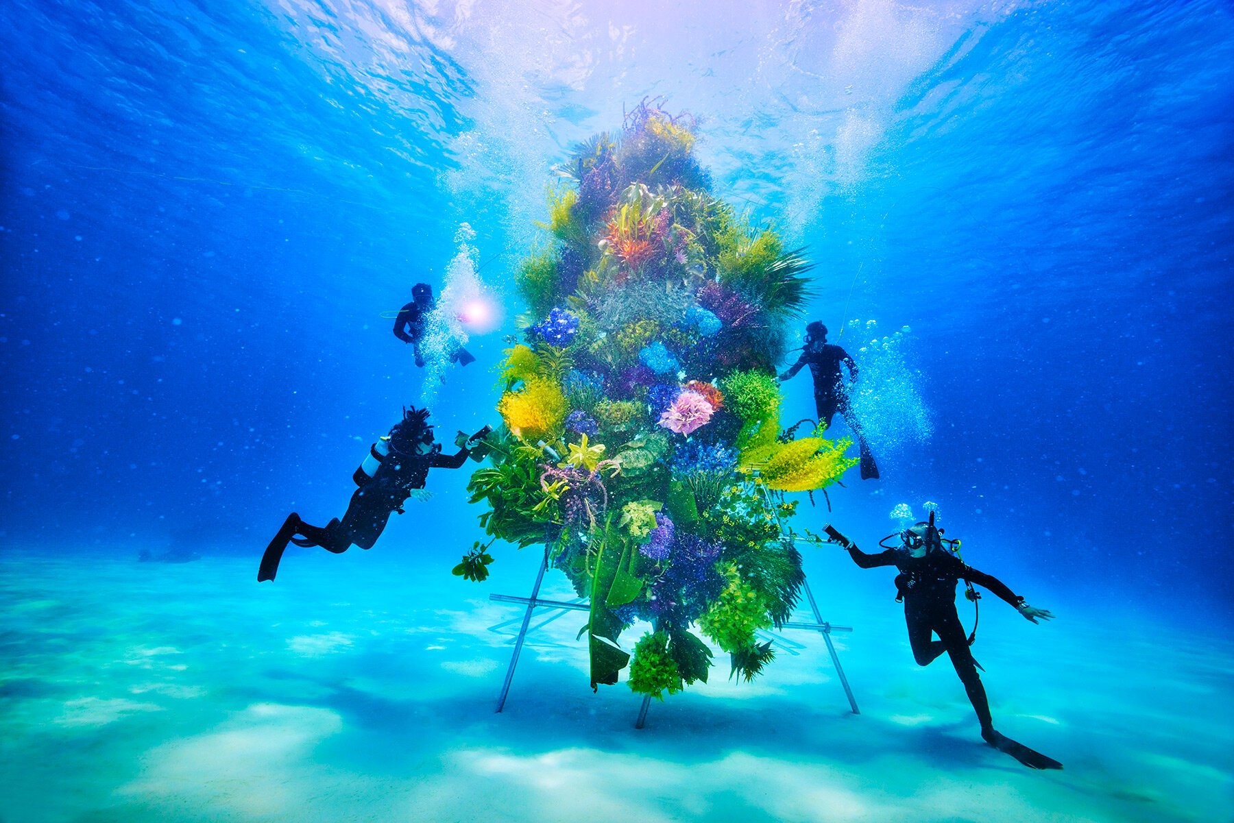 azuma-makoto-submerges-intricate-botanical-sculpture-blue-waters-japan-designboom-full-01.jpg