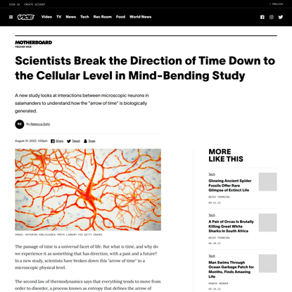Scientists Break the Direction of Time Down to the Cellular Level in Mind-Bending Study