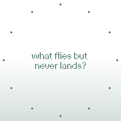 what flies but never lands?