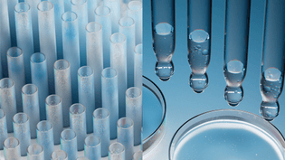 bio_ch06_resaerch_wide_lv02-0-00-02-04_01.jpg