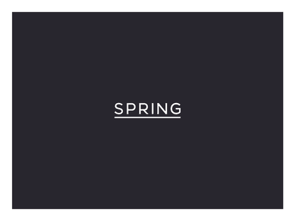 Spring-Brand-Presentation_Final.pdf