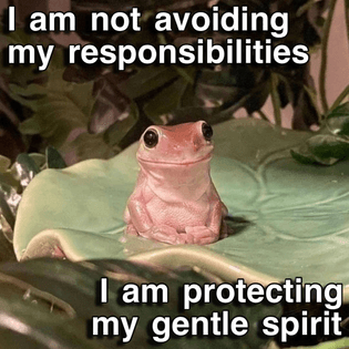 I am protecting my gentle spirit