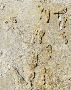 human-fossilized-footprints-at-white-sands-national-park.jpg?maxwidth=650-autorotate=false