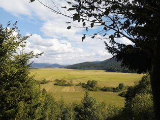 Day-time view of a wide grassy valley surrounded by tree-covered mountains under a slightly clouded sky