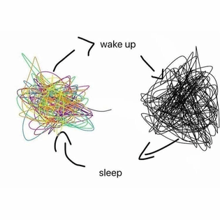 circadian attractor loop