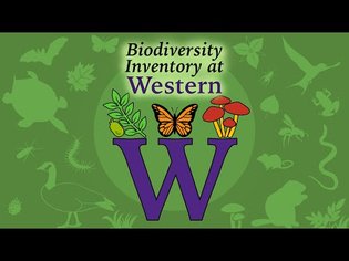 Introductory Video for Participants in the Biodiversity Inventory at Western