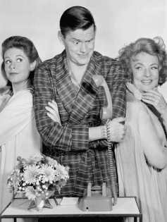 Samantha, Darrin, and Endora / Bewitched (TV series) 