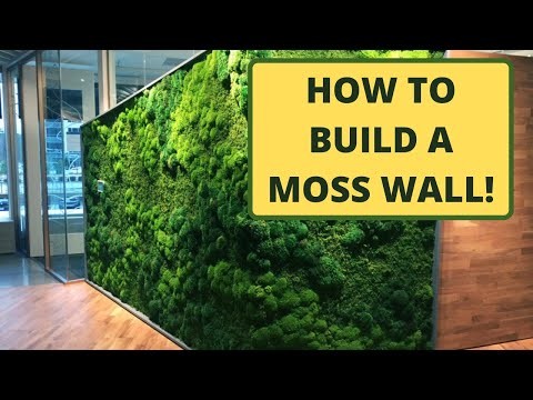 How to Make a Moss Wall | Use Pre-Made Moss Panels. — Are.na