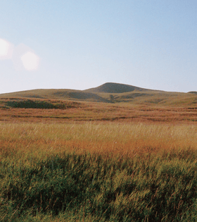 new-black-hills-gold-rush-ruth-robterson-atmos-lead-mobile-1920x2160.jpeg
