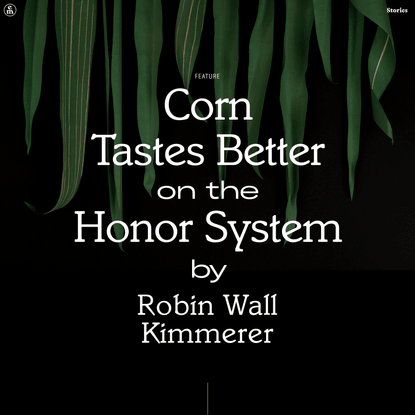 Corn Tastes Better on the Honor System – Robin Wall Kimmerer