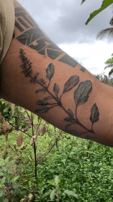Rit Kit on Instagram: “Small story about Holy Basil or Tulsi herb tattoo. This plant is very common in India, almost every f...
