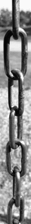 Chain Link