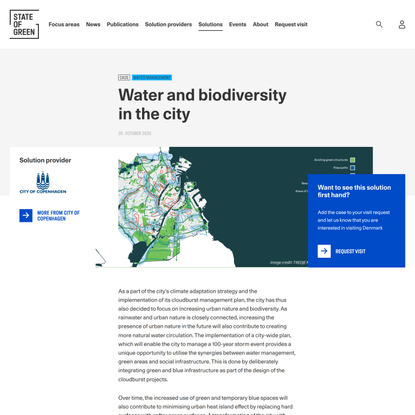 Water and biodiversity in the city