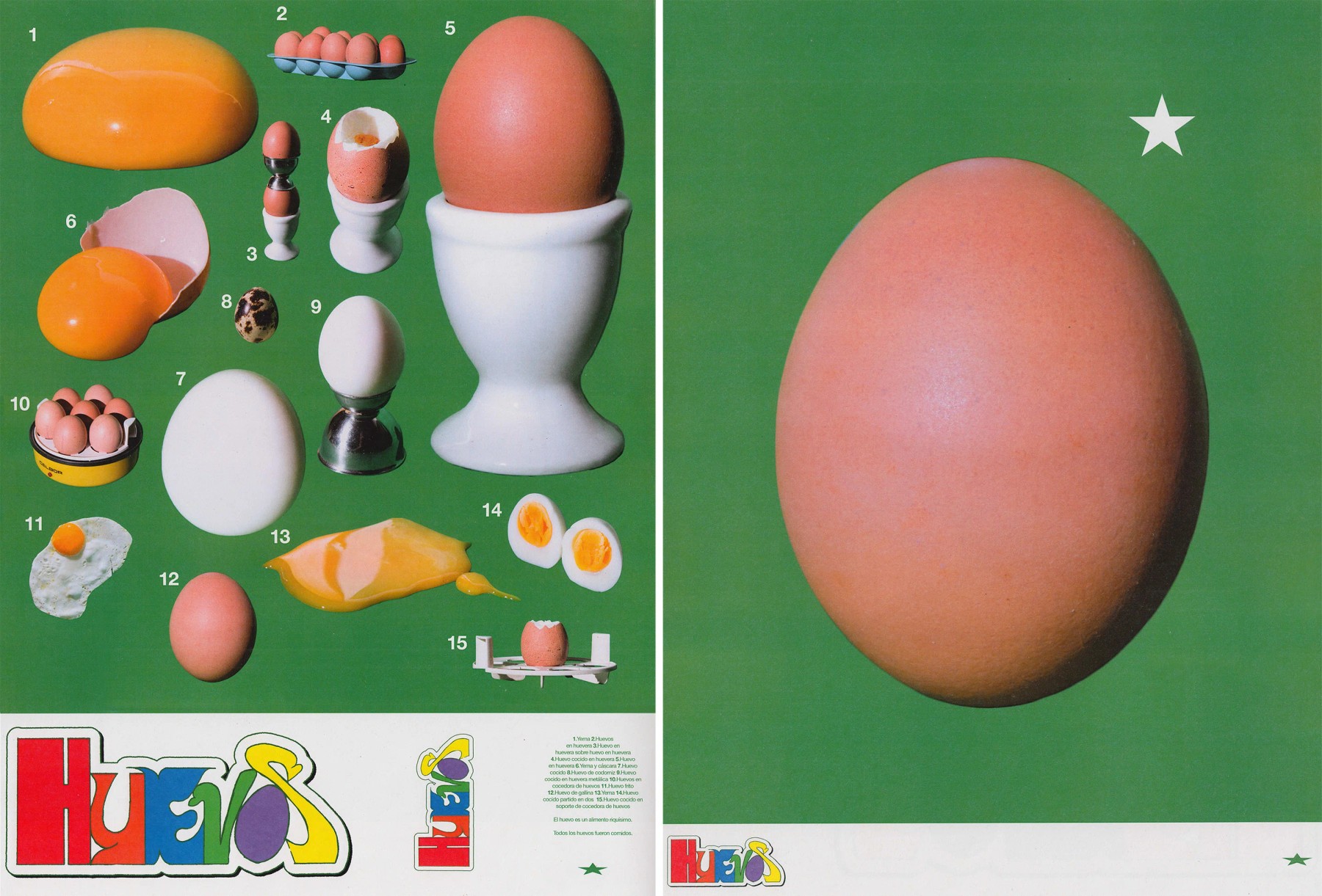 miguel-vides-1.huevos_eggs_2022.jpg