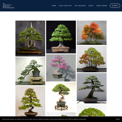 North American Collection - National Bonsai Foundation
