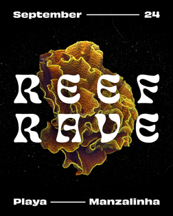reef-rave-post.jpg