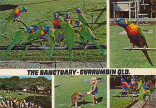 The Sanctuary, Currumbin, Queensland, Australia