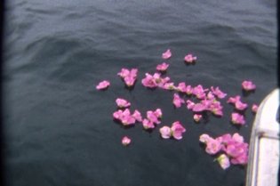Shimabuku - Sea and Flowers - 2013 on Vimeo
