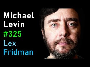 Michael Levin: Biology, Life, Aliens, Evolution, Embryogenesis &amp; Xenobots | Lex Fridman Podcast #325