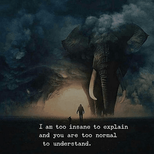 302371816_472404027839543_2998761201944908968_n.jpg?stp=dst-jpg_e35-_nc_ht=scontent-mad1-1.cdninstagram.com-_nc_cat=111-_nc_...