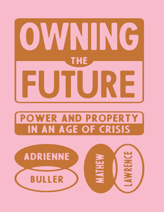 Owning the Future: Power and Property in an Age of Crisis - Mathew Lawrence, Adrienne Buller