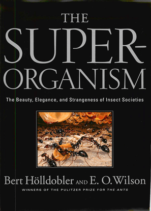 bert-h-lldobler-edward-o.-wilson-the-superorganism_-the-beauty-elegance-and-strangeness-of-insect-societies-w.-w.-norton-com...