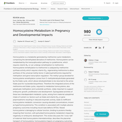 Homocysteine Metabolism in Pregnancy and Developmental Impacts