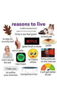 Reasons to live