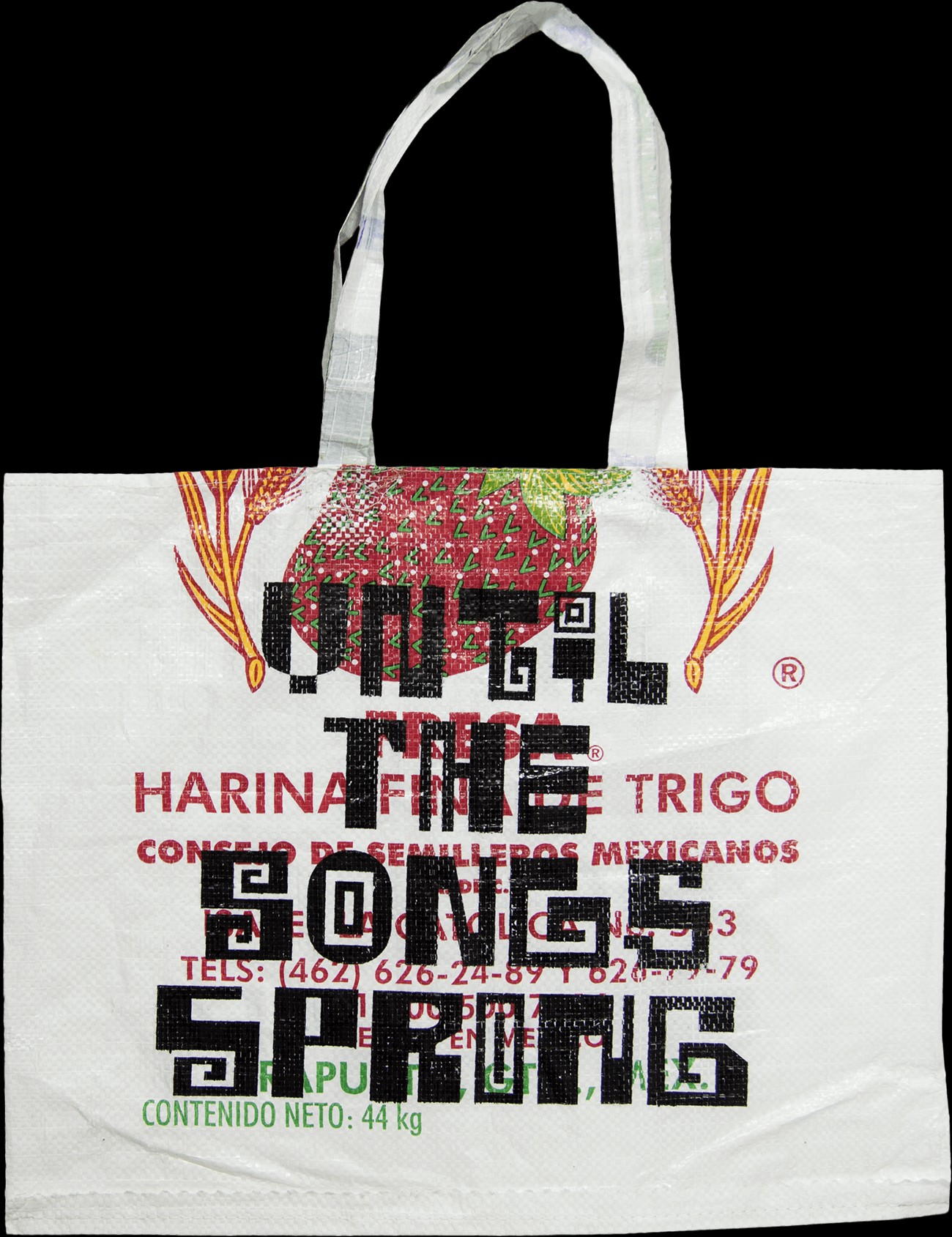 Manuel Raeder bag for Mexican Pavilion, Biennale Arte 2022