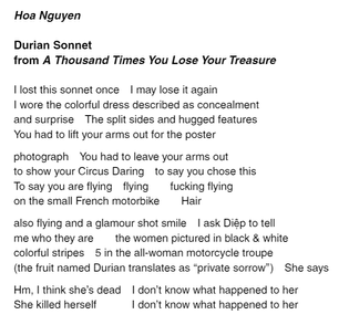 hoa-nguyen-durian-sonnet-from-a-thousand-times-you-lose-your-treasure.png