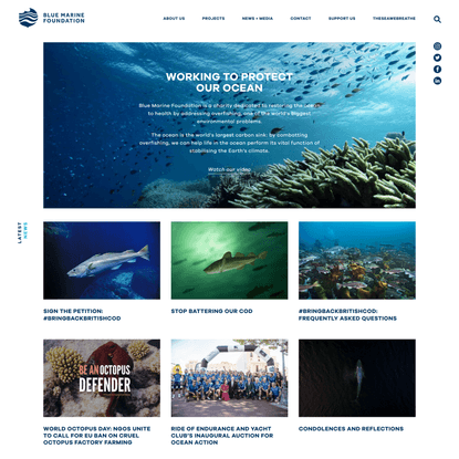 Blue Marine Foundation - Creating partnerships for a healthy ocean