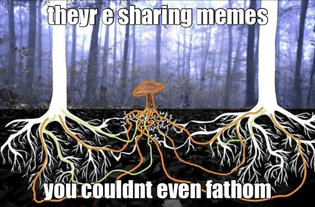 fungal-internet-meme.jpeg