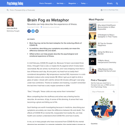 Brain Fog as Metaphor