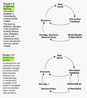 Double loop learning