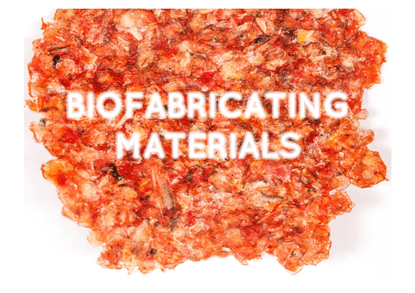 biofabricating_materials.pdf
